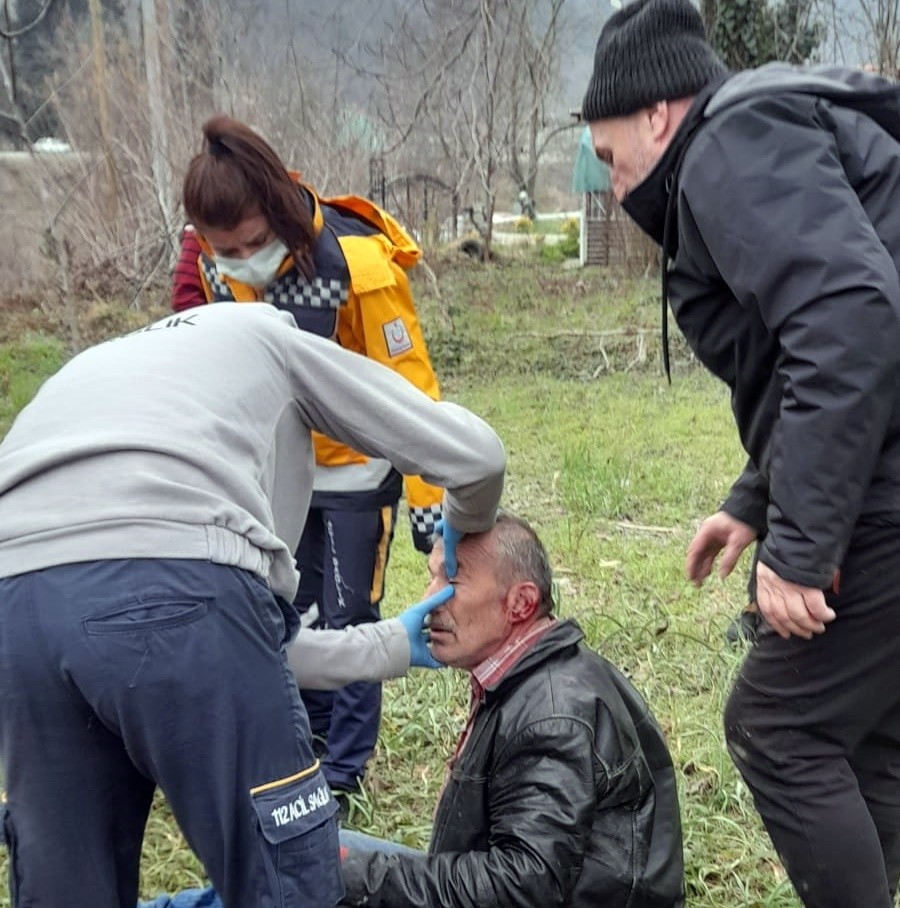 Sakarya’nın Sapanca ilçesinde budadığı ağacın dalı çarpan vatandaş fenalaşarak ağaçta mahsur kaldı. Ağaçta fenalaşan vatandaşın yardımına itfaiye ...