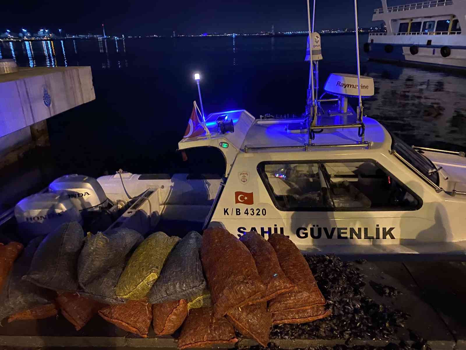 Kadıköy’de Sahil Güvenlik ekipleri, karanlığı fırsat bilerek denizde izinsiz şekilde midye toplayan 4 kişiyi yakaladı. Operasyonda, 10 bin lira ...