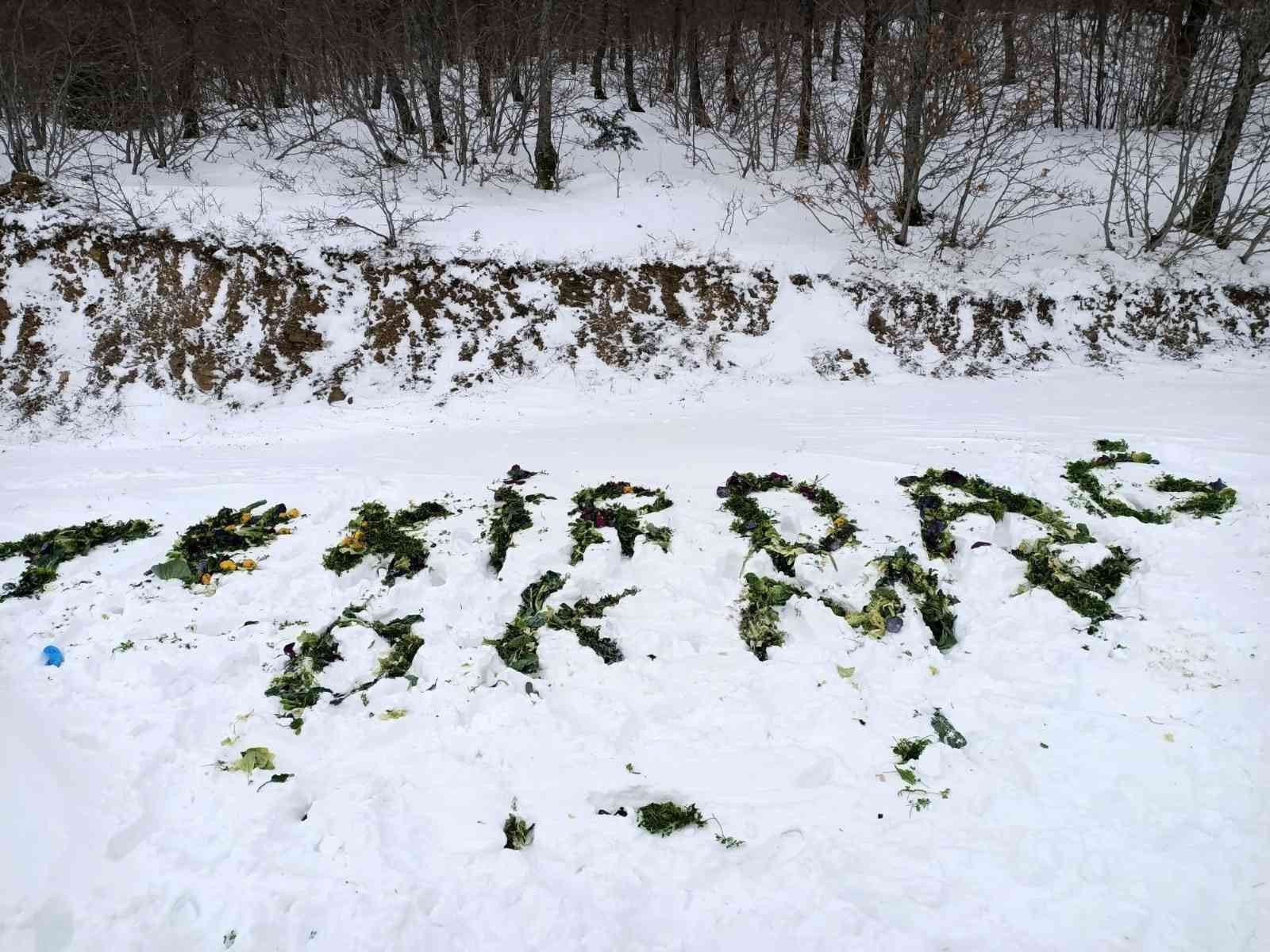 Soğuk geçen kış sezonunda yüksek kesimlerdeki yaban hayatına 70 ton bırakılarak, yaban hayatı popülasyonunun devamı sağlandı. Doğa Koruma ve ...