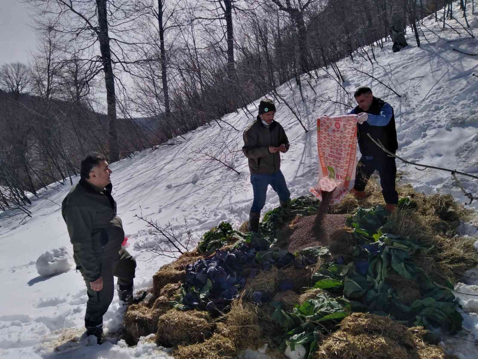 Soğuk geçen kış sezonunda yüksek kesimlerdeki yaban hayatına 70 ton bırakılarak, yaban hayatı popülasyonunun devamı sağlandı. Doğa Koruma ve ...