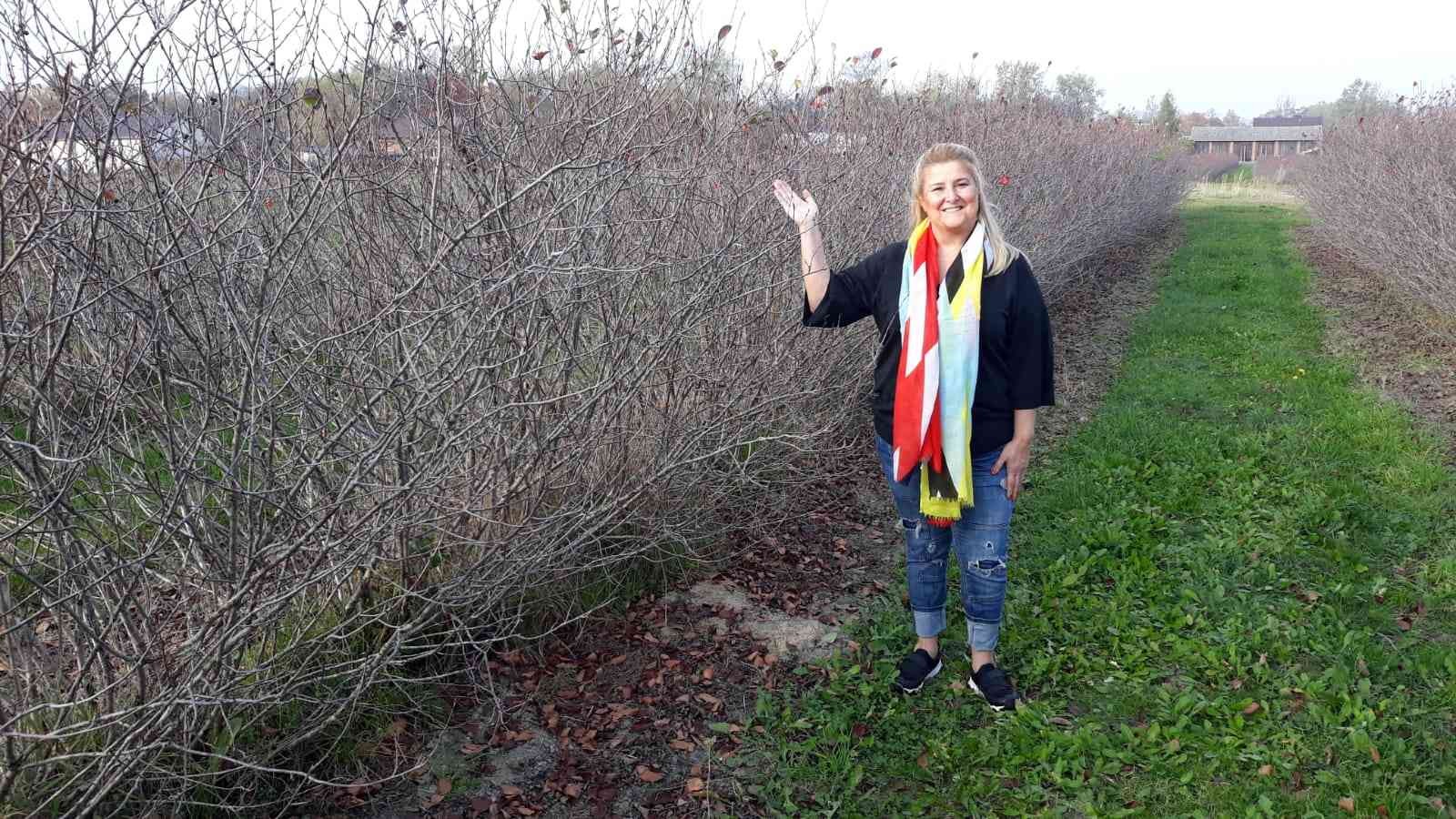 Kansere karşı etkisiyle bilinen, Kızılderililer tarafından soğuk algınlığı tedavisinde kullanılan aronya meyvesi şehitler diyarı Çanakkale’de ...