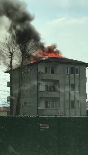 Sakarya’nın Arifiye ilçesinde 4 katlı binanın çatısında çıkan yangın ilçenin dört bir yanından görüldü. Bina sakinleri, itfaiyenin yangına ...