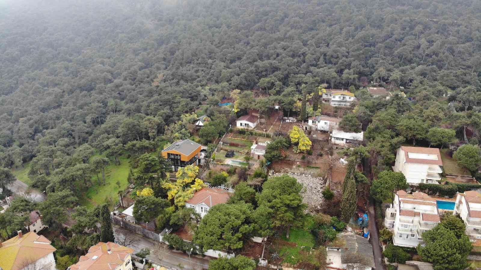 Adalar’da bulunan ve endemik bitki türlerinden olan mimoza çiçeklerinin turistler tarafından talan edilmesine “dur” denildi. Adalar Kaymakamlığı ...