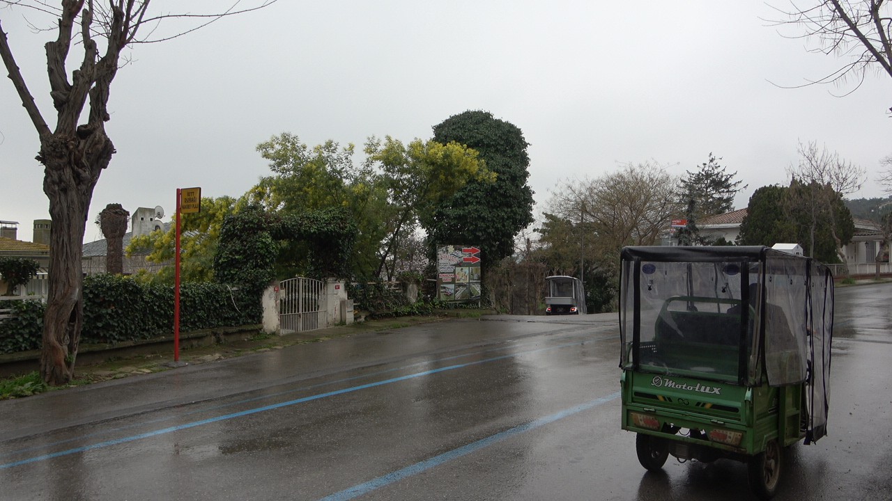 Adalar’da bulunan ve endemik bitki türlerinden olan mimoza çiçeklerinin turistler tarafından talan edilmesine “dur” denildi. Adalar Kaymakamlığı ...