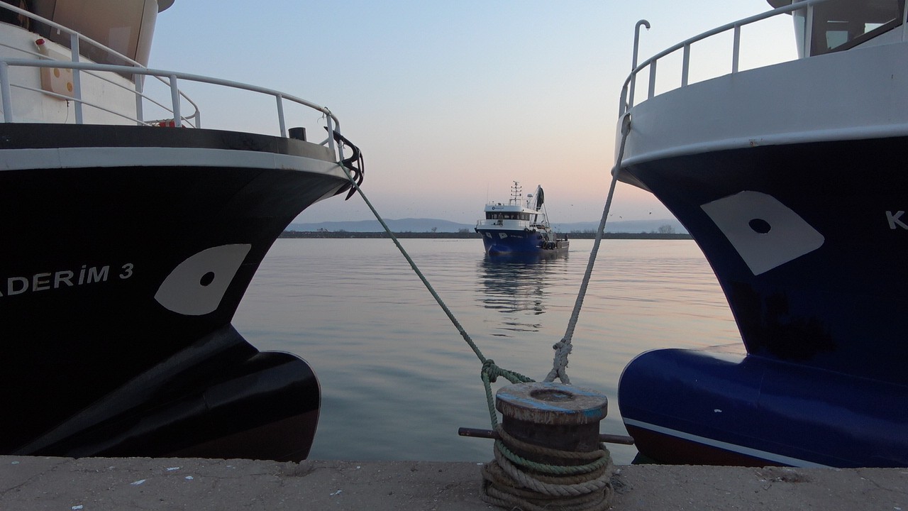 Tarım ve Orman Bakanlığı, Bulgaristan-Kefken arasındaki Karadeniz sularında her türlü balıkçılık faaliyetlerinin durdurulduğu açıklaması üzerine ...