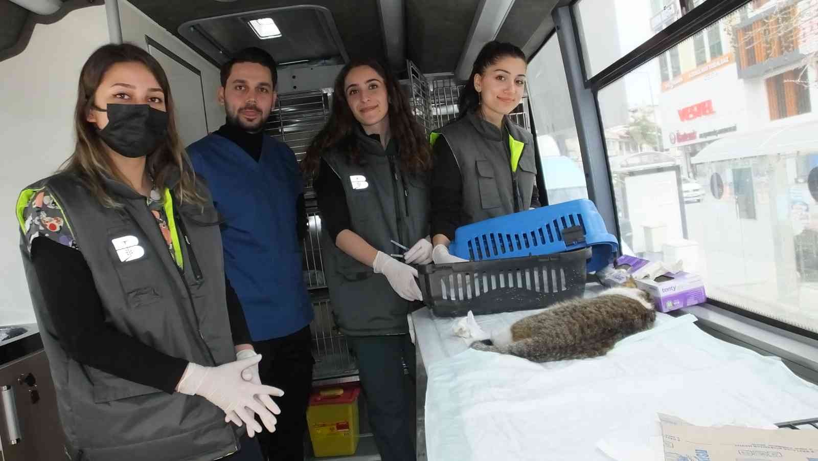 Burhaniye ilçesi, Balıkesir Büyükşehir Belediyesi’nin sokak hayvanlarına daha kaliteli ve ulaşılabilir bir hizmet sağlayabilmek oluşturduğu ...