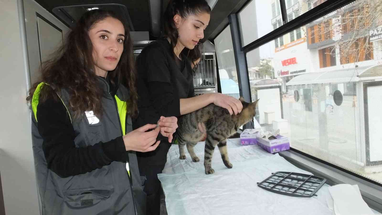 Burhaniye ilçesi, Balıkesir Büyükşehir Belediyesi’nin sokak hayvanlarına daha kaliteli ve ulaşılabilir bir hizmet sağlayabilmek oluşturduğu ...