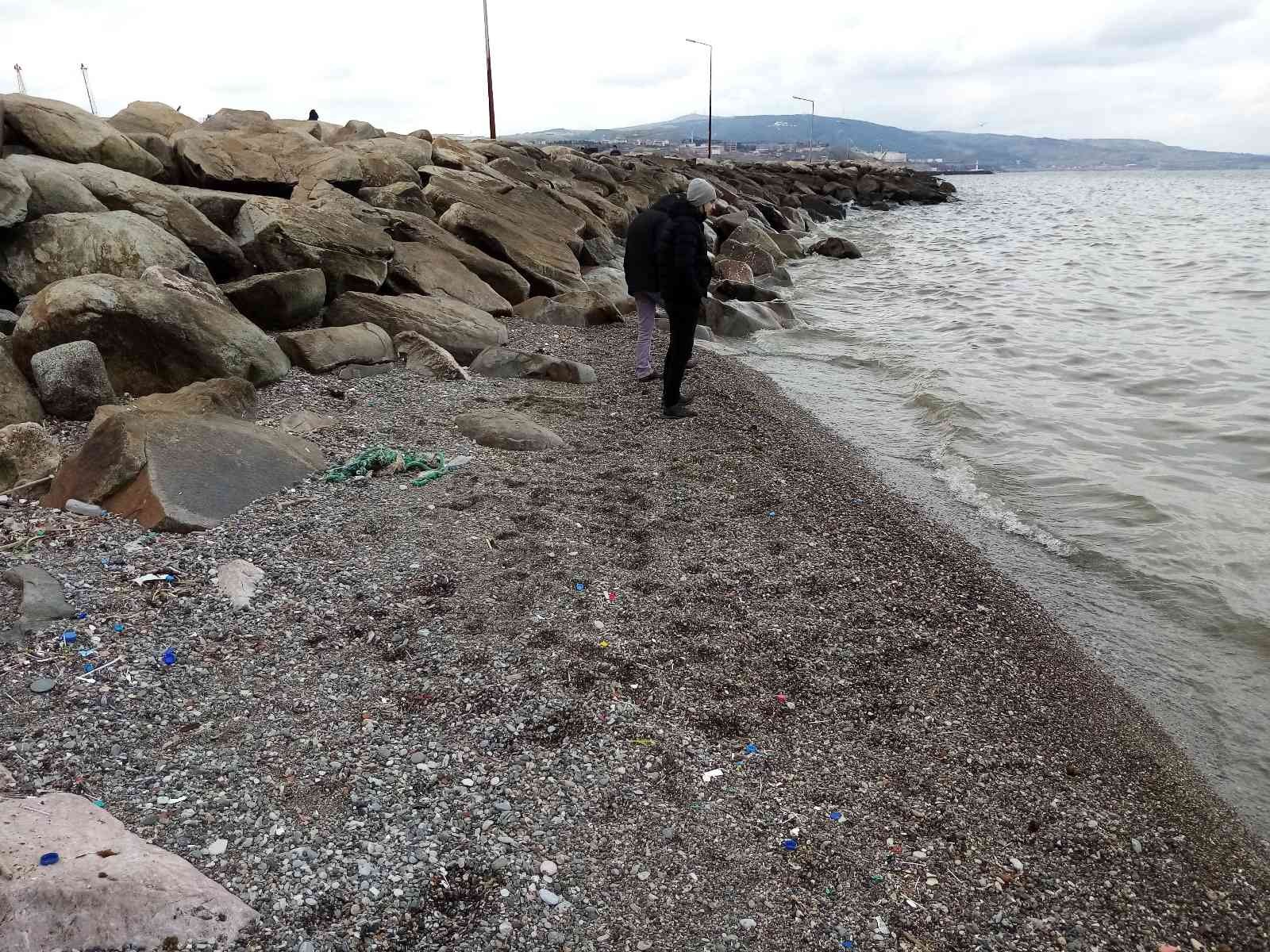 Balıkesir’in Bandırma İlçesinde iki ay önce çekilen deniz, eski haline gelmedi. Bandırma’da iki ay önce 15 metre kadar çekilen denizin eski ...