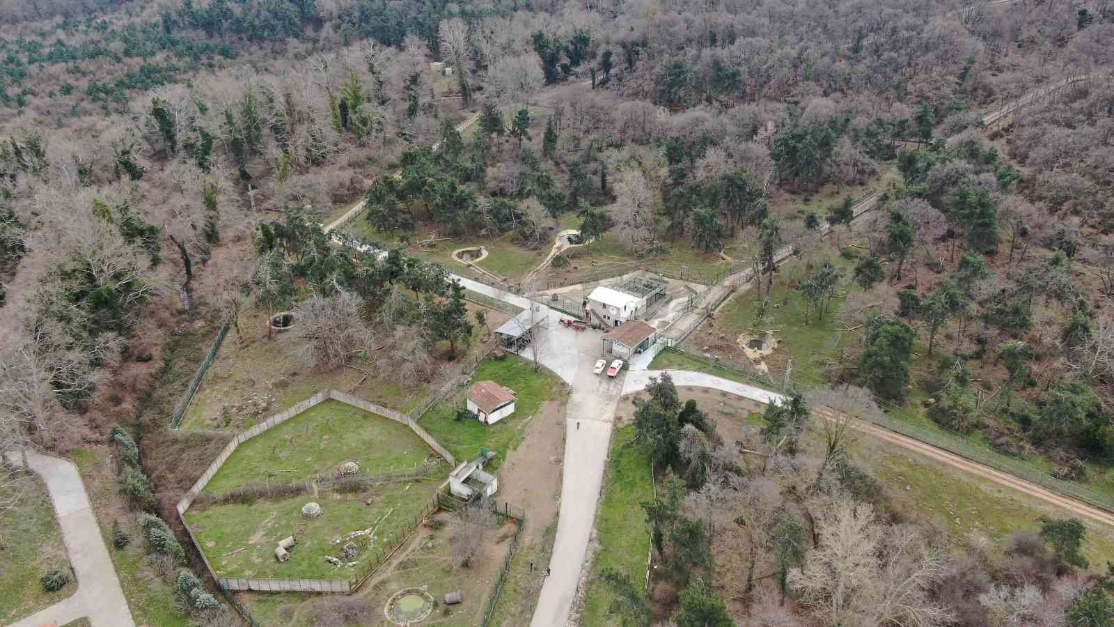 İstanbul’da özel bir hayvanat bahçesindeki ayı ailesi ömürleri sonuna kadar yaşayacakları Bursa’daki barınağa getirildi. Türkiye’nin ilk ve tek ...