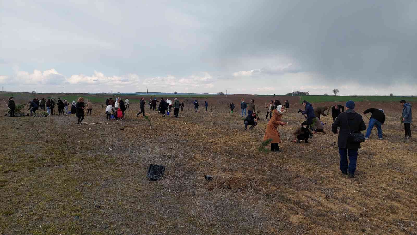 Korona virüs pandemisinde hayatını kaybeden sağlık çalışanları için Tekirdağ’ın Süleymanpaşa ilçesinde fidan dikim etkinliği gerçekleştirildi ...