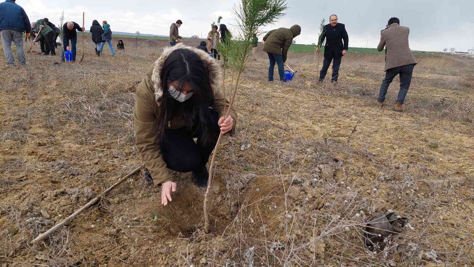 Korona virüs pandemisinde hayatını kaybeden sağlık çalışanları için Tekirdağ’ın Süleymanpaşa ilçesinde fidan dikim etkinliği gerçekleştirildi ...