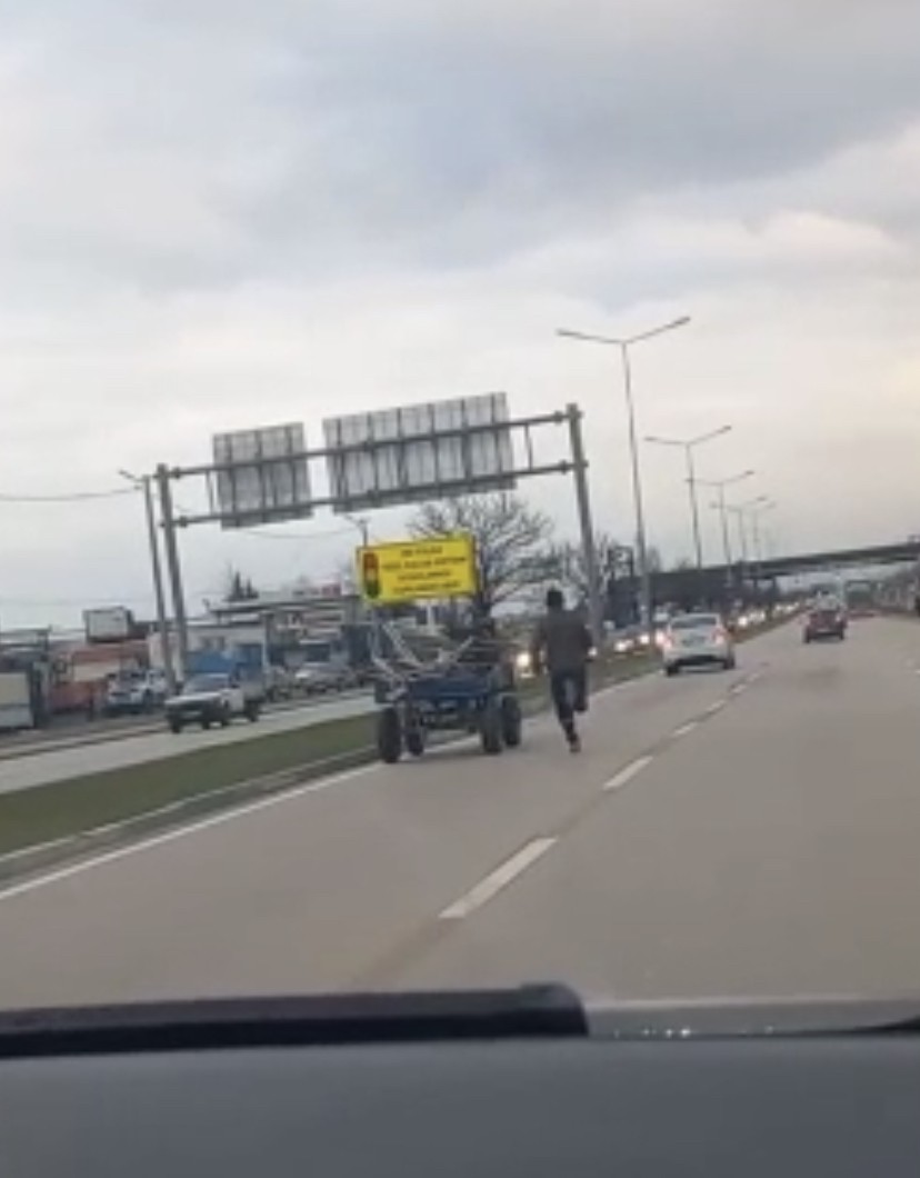 Bursa’da sahibinin elinden kaçan at, arkasına bağlı olan arabasıyla birlikte trafiği birbirine kattı. Araçların arasında ilerleyen sürücüsüz at ...