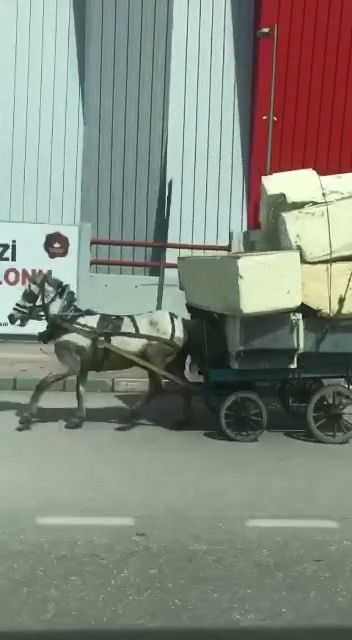 Bursa’da trafikteki diğer insanların canını tehlikeye atarak at arabası ve otomobilde tonlarca yük taşıdılar. Tehlikeli taşımacılık merkez ...