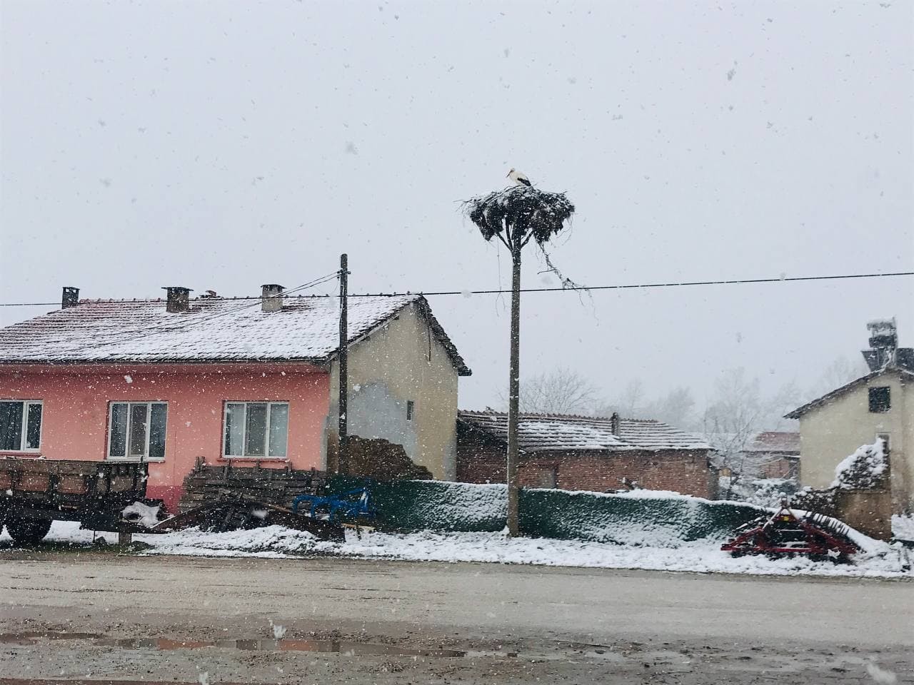 Çanakkale’nin Çan ilçesine bağlı Büyükpaşa köyünde köylülerce yapılan leylek yuvasına yılın ilk leyleği bu sabah geldi. Lapa lapa yağan kar ...