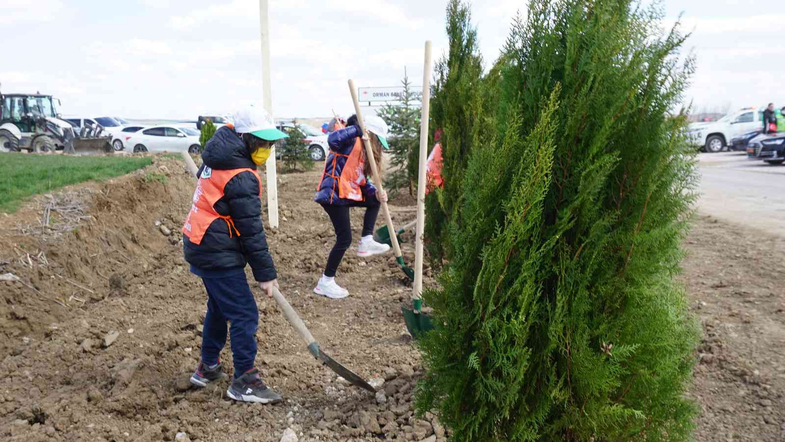 Orman Haftası etkinliğinde konuşan Edirne Valisi Ekrem Canalp, bu yıl 2 buçuk milyon fidanı toprakla buluşturacaklarını aktardı. Orman Haftası ...