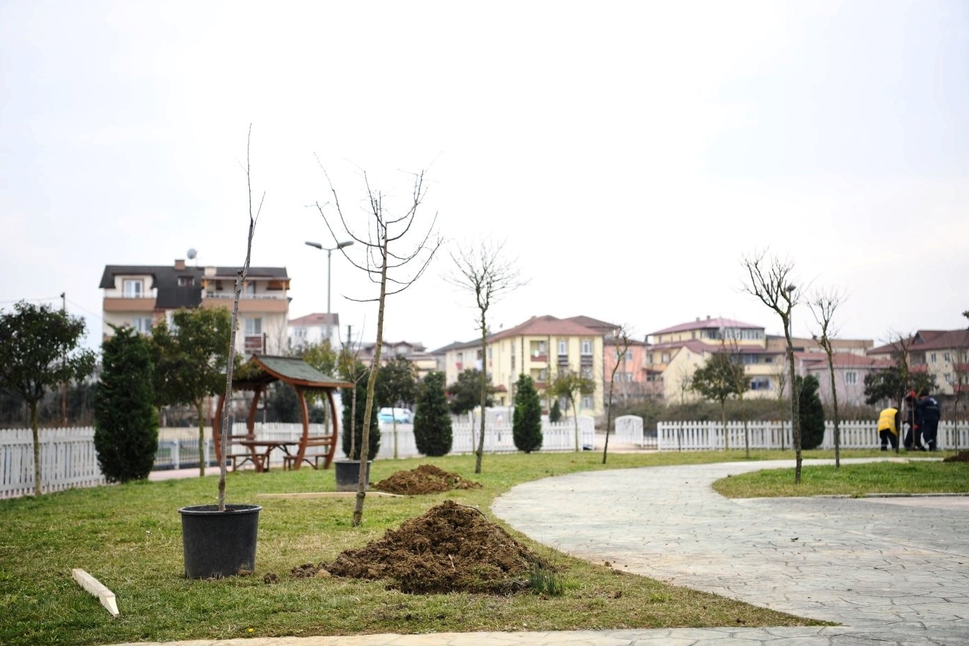 Kocaeli’nin Kartepe ilçesinde geçen yıl başlatılan, “Her Yıl 1100 Fidan” projesi devam ediyor. Bu yıl için 550 kiraz ve vişne fidan ekimine ...