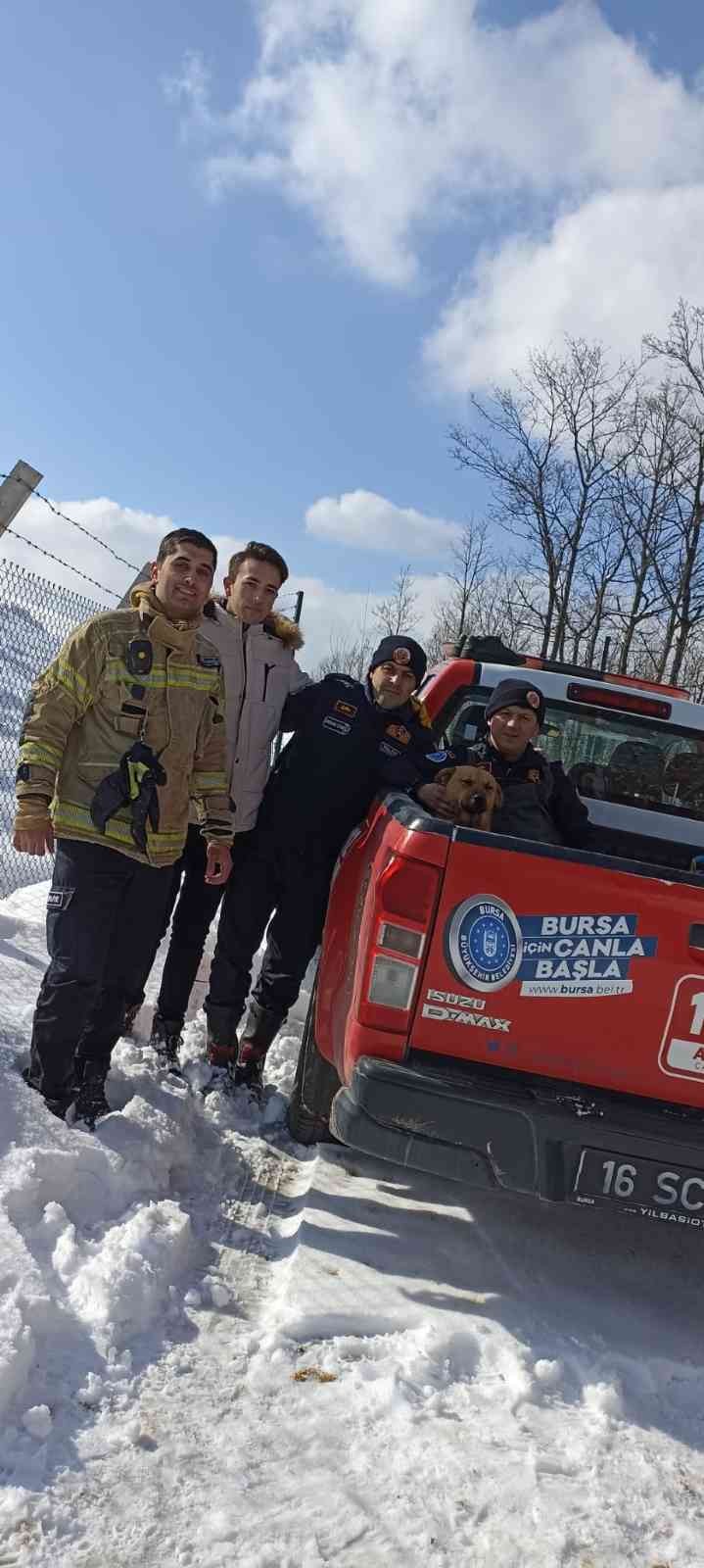 Bursa’nın İnegöl ilçesinde buzun kırılmasıyla sulama göletine düşerek mahsur kalan köpek, donmak üzereyken Bursa Büyükşehir Belediyesi İtfaiye ...