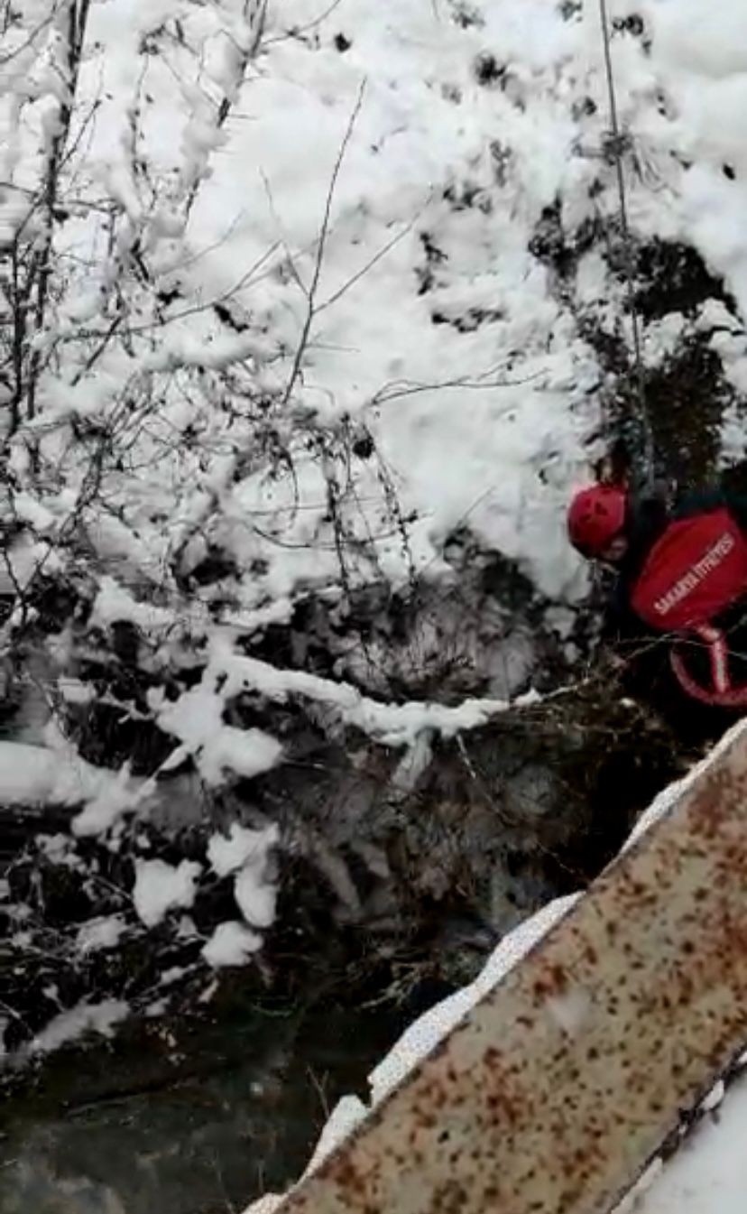 Sakarya’nın Taraklı ilçesinde dereye düşerek mahsur kalan baykuş, itfaiye ekiplerince kurtarılarak tedavi altına alındı. Taraklı ilçesi Hacımurat ...