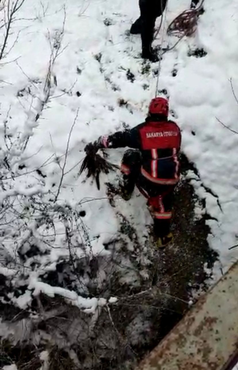 Sakarya’nın Taraklı ilçesinde dereye düşerek mahsur kalan baykuş, itfaiye ekiplerince kurtarılarak tedavi altına alındı. Taraklı ilçesi Hacımurat ...