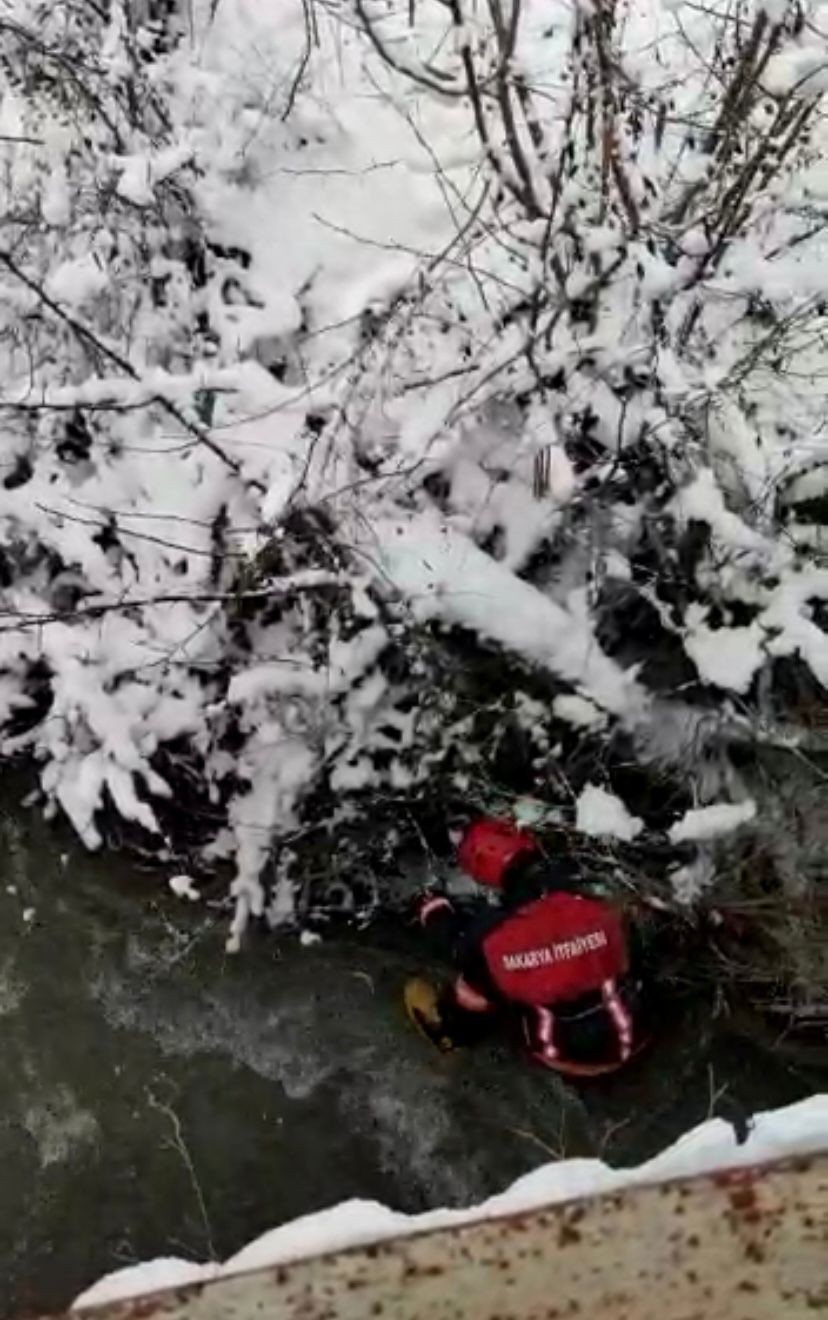 Sakarya’nın Taraklı ilçesinde dereye düşerek mahsur kalan baykuş, itfaiye ekiplerince kurtarılarak tedavi altına alındı. Taraklı ilçesi Hacımurat ...