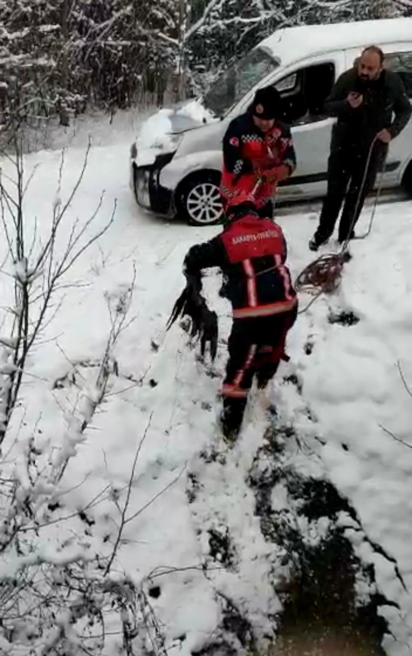 Sakarya’nın Taraklı ilçesinde dereye düşerek mahsur kalan baykuş, itfaiye ekiplerince kurtarılarak tedavi altına alındı. Taraklı ilçesi Hacımurat ...