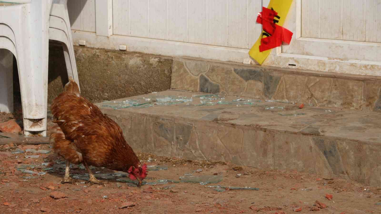 Edirne’nin Uzunköprü ilçesine bağlı Elmalı köyünde katledilen ailenin yakını konuştu. Evde ölü bulunan Mehmet Güner’in torunu Gizem Tunçer ...