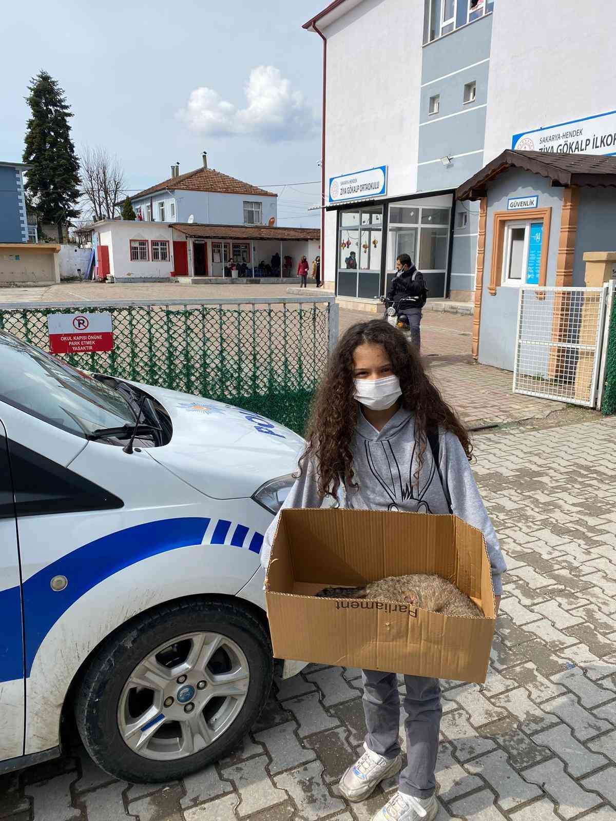 Sakarya’nın Hendek ilçesinde 5. sınıfa giden kız çocuğu, doğum yapmakta zorlanan kediye polis memuru babasıyla yardım etti. Veteriner ...