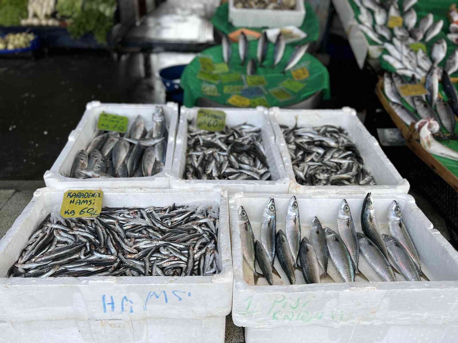 Karadeniz’de yaşanan mayın krizi sonrası balık tezgahları boş kaldı. Balıkçılar, bu durumdan memnun olmadıklarını belirtirken, balık fiyatlarında ...