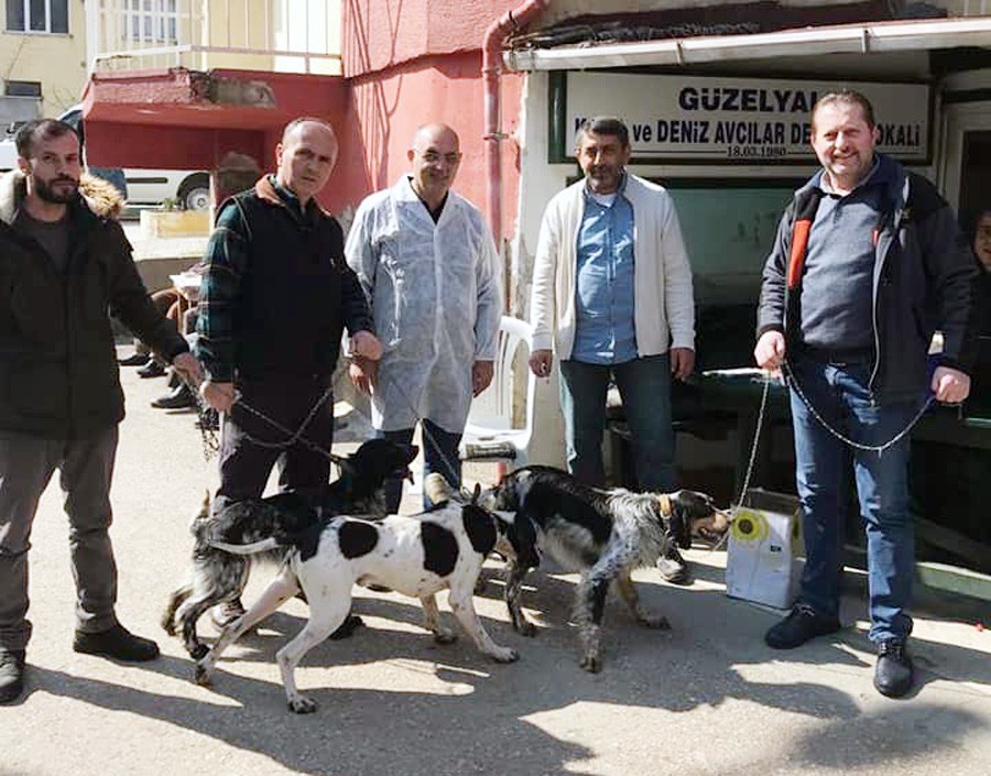 Mudanya İlçe Tarım ve Orman Müdürlüğü ve Mudanya’da faaliyet gösteren Güzelyalı Kara ve Deniz Avcıları Derneği yaptıkları çalışmayla av ...