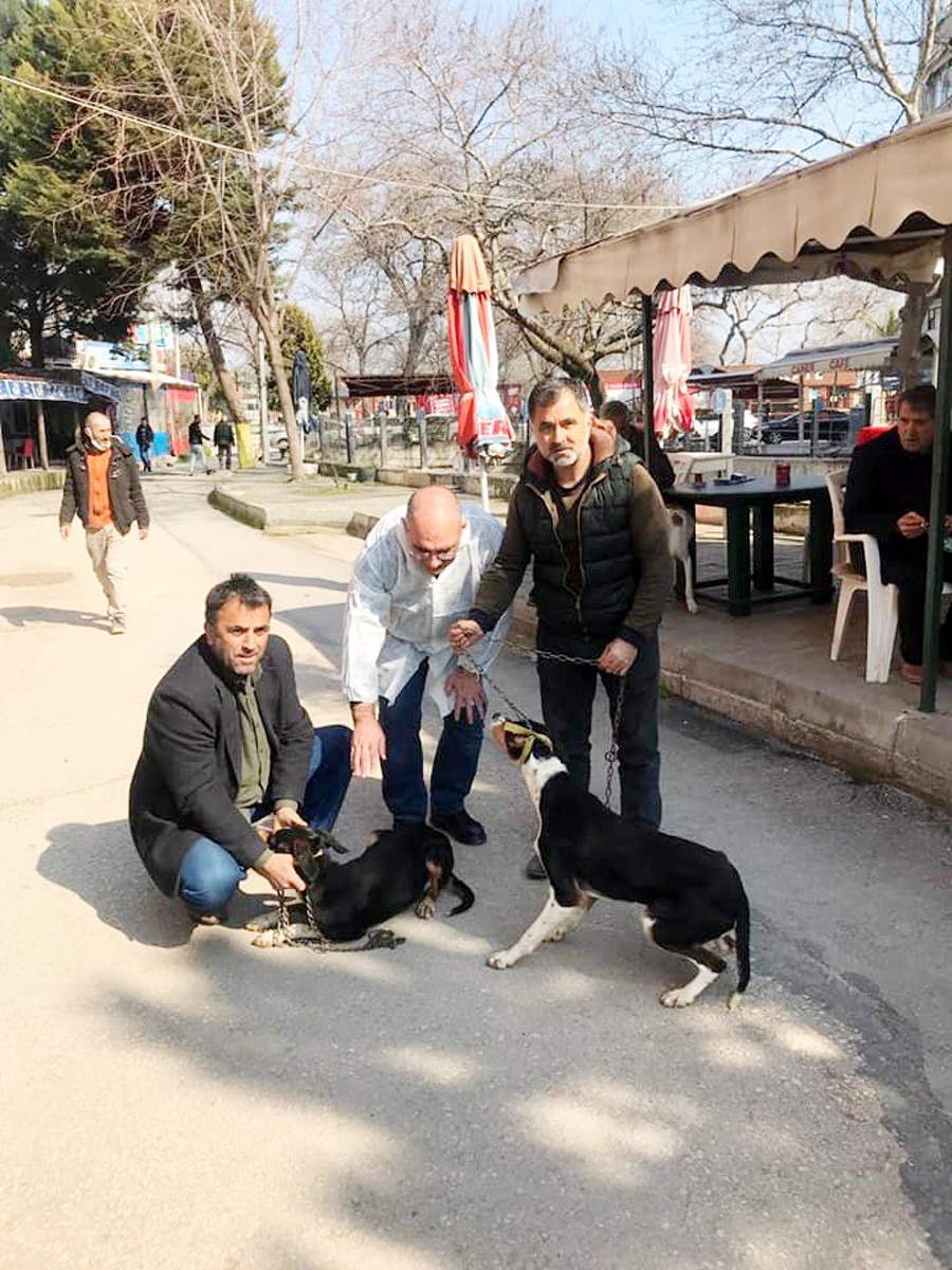 Mudanya İlçe Tarım ve Orman Müdürlüğü ve Mudanya’da faaliyet gösteren Güzelyalı Kara ve Deniz Avcıları Derneği yaptıkları çalışmayla av ...