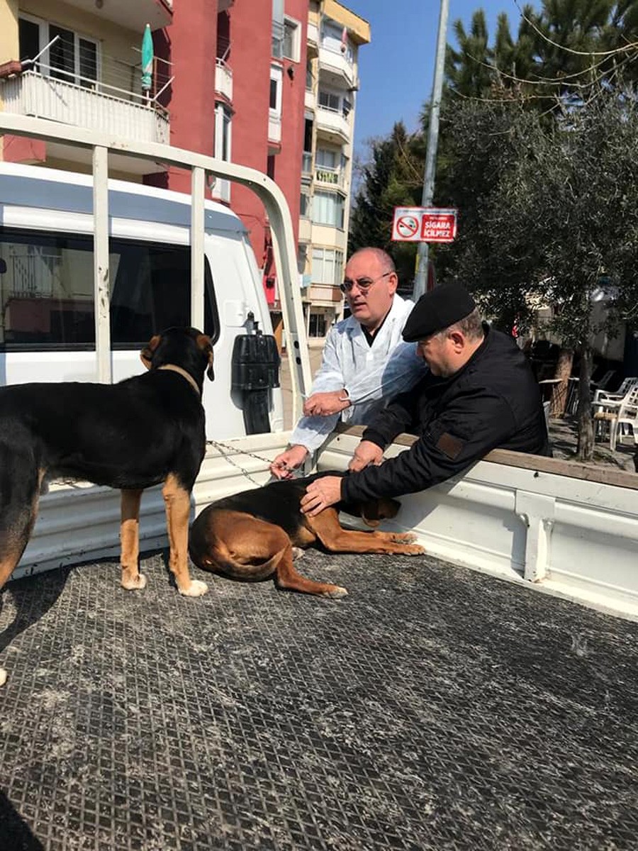 Mudanya İlçe Tarım ve Orman Müdürlüğü ve Mudanya’da faaliyet gösteren Güzelyalı Kara ve Deniz Avcıları Derneği yaptıkları çalışmayla av ...