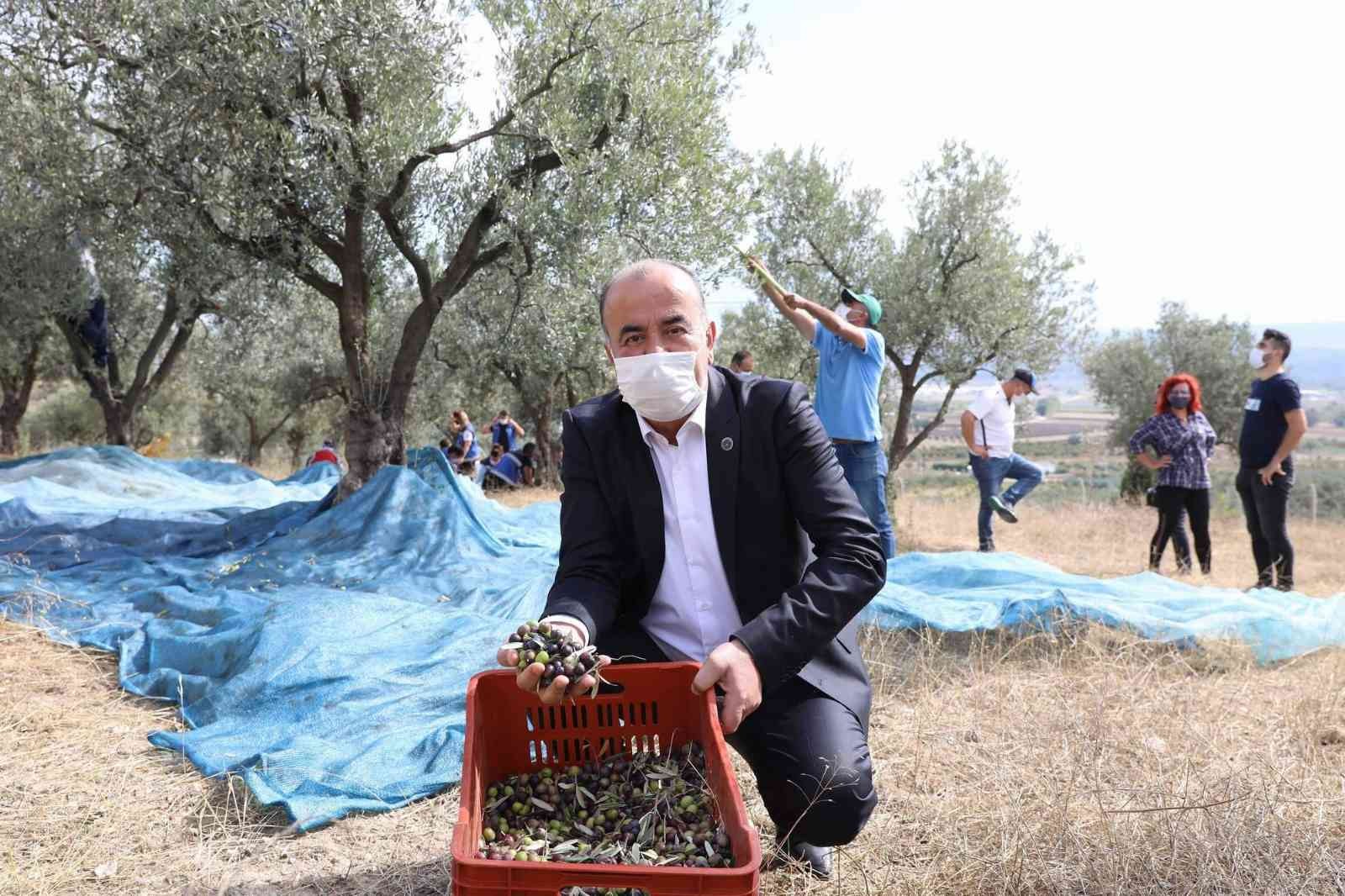 Mudanya Belediyesi, dünya genelinde yetişen 30 tip zeytinden en önemlisi Doğu Akdeniz coğrafyasında yetişen “olea-europa” tipi zeytinin anayurdu ...