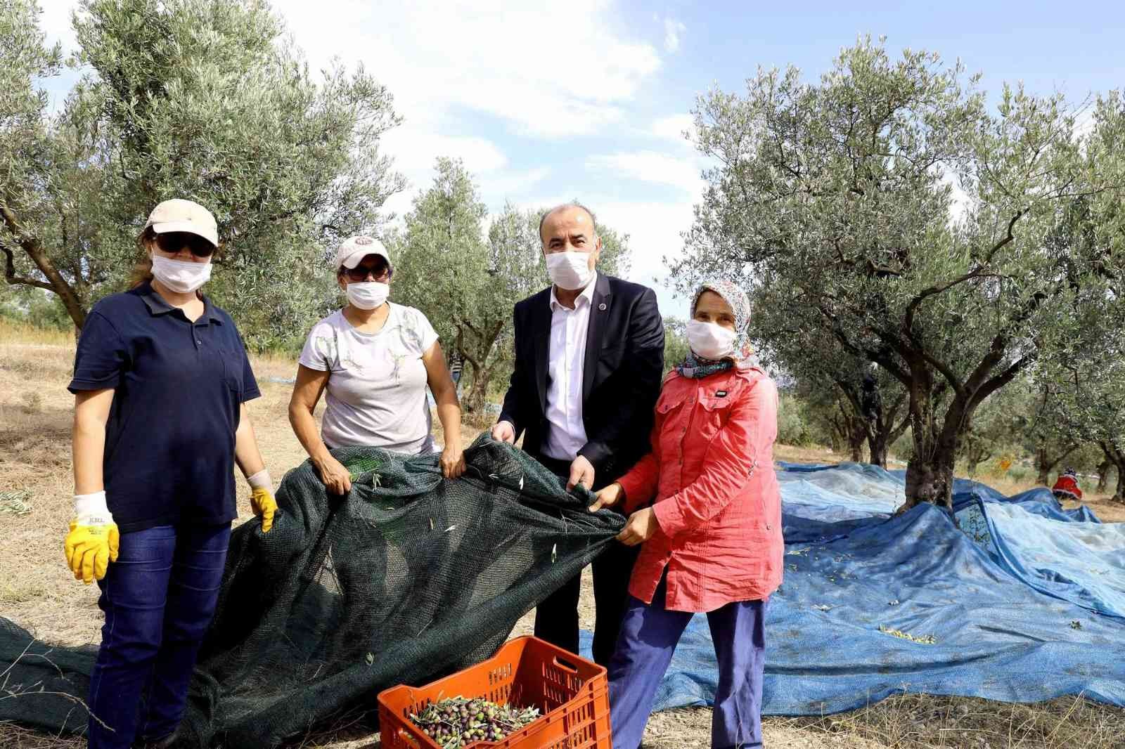 Mudanya Belediyesi, dünya genelinde yetişen 30 tip zeytinden en önemlisi Doğu Akdeniz coğrafyasında yetişen “olea-europa” tipi zeytinin anayurdu ...