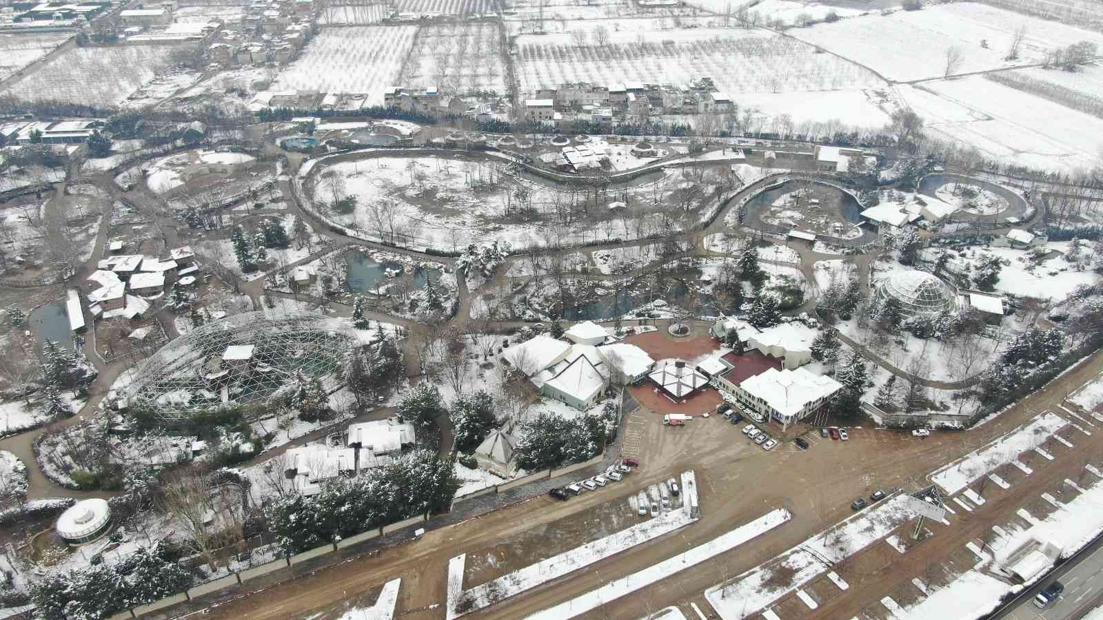 Bursa Hayvanat Bahçesi’nde soğuğu seven hayvanlar mart ayında yağan karın keyfini çıkarıyor. Kar yağışına aldırış etmeden görevliler tarafından ...