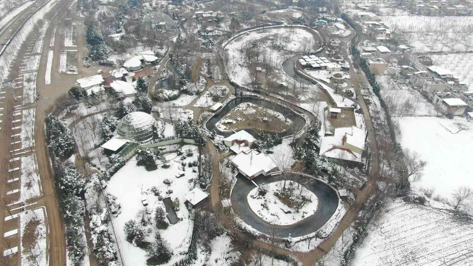 Bursa Hayvanat Bahçesi’nde soğuğu seven hayvanlar mart ayında yağan karın keyfini çıkarıyor. Kar yağışına aldırış etmeden görevliler tarafından ...