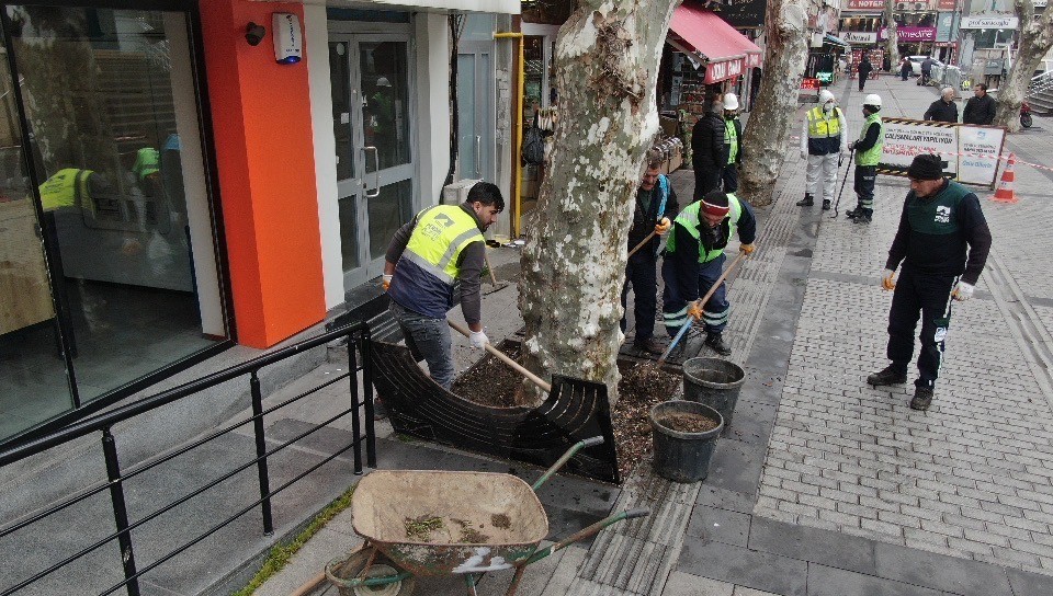 Pendik Belediyesi ekipleri, yarım asırlık çınar ağaçlarının bakımlarına bu yıl yeniden başladı. Belediye ekipleri, yaklaşık 242 ağacın çürük ...