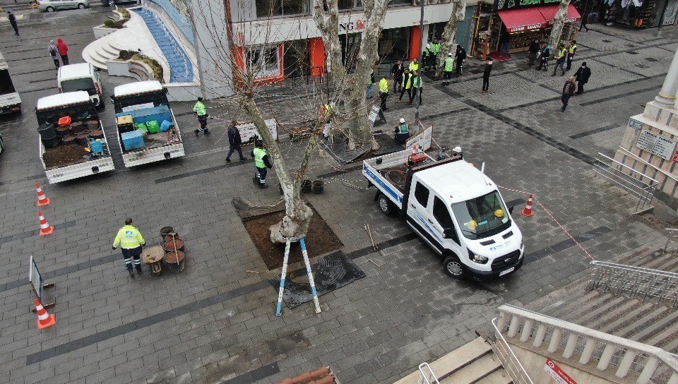 Pendik Belediyesi ekipleri, yarım asırlık çınar ağaçlarının bakımlarına bu yıl yeniden başladı. Belediye ekipleri, yaklaşık 242 ağacın çürük ...