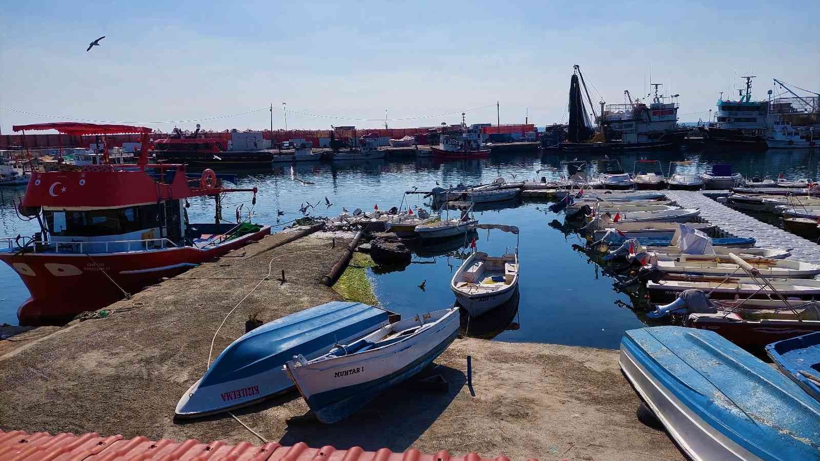 Marmara Denizi’nde günlerdir süren poyrazın etkisini kaybetmesiyle Tekirdağ’ın Süleymanpaşa ilçesindeki balıkçılar, denize açılmaya başlarken ...