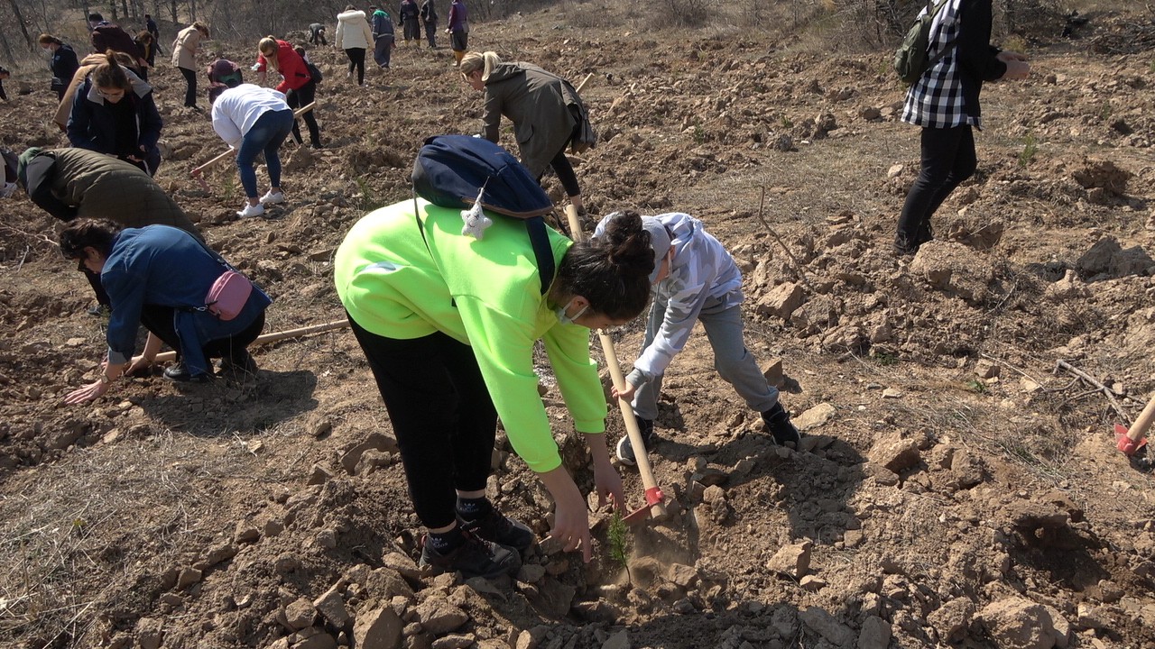 Kırklareli’nde salgınla mücadelede hayatını kaybeden sağlık çalışanları için hatıra ormanı oluşturuldu. Korona virüs ile mücadelede hayatını ...