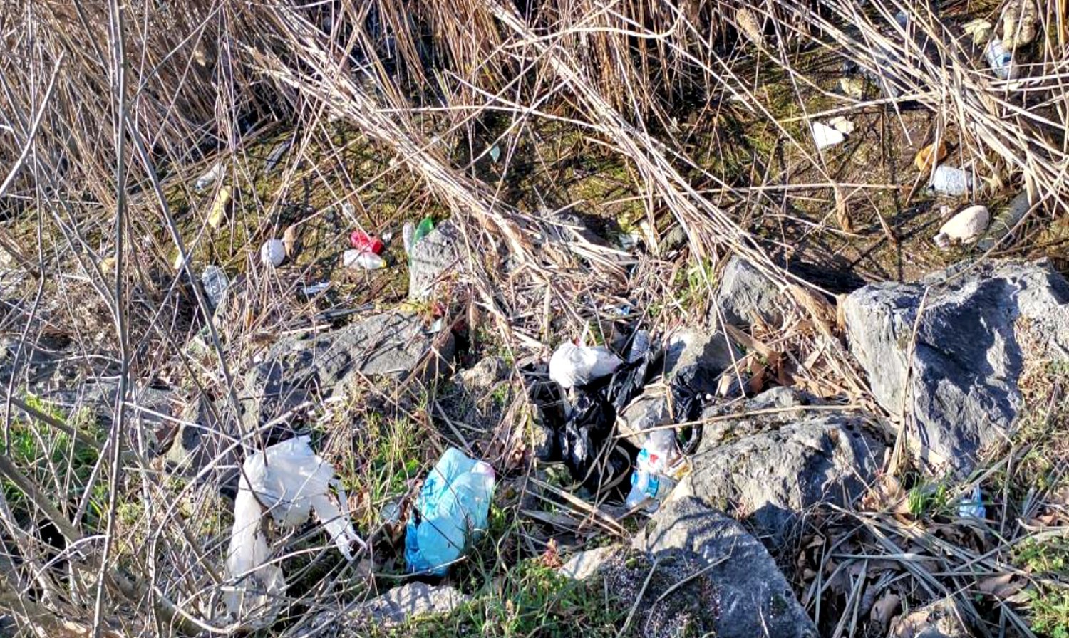 Sapanca Gölü’nü korumak, pislik ve atıklardan zehirlenmemesini sağlamak için Büyükşehir ekiplerince göl kıyısı ve çevresindeki atıklar ...