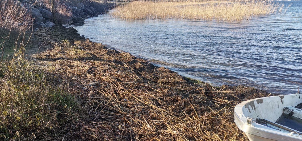 Sapanca Gölü’nü korumak, pislik ve atıklardan zehirlenmemesini sağlamak için Büyükşehir ekiplerince göl kıyısı ve çevresindeki atıklar ...