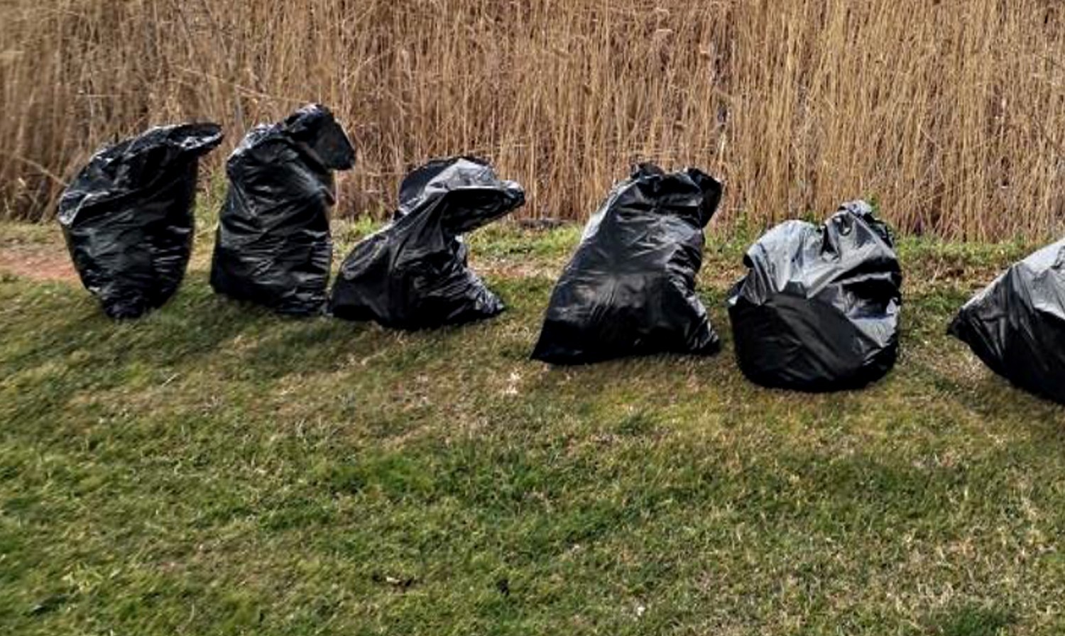 Sapanca Gölü’nü korumak, pislik ve atıklardan zehirlenmemesini sağlamak için Büyükşehir ekiplerince göl kıyısı ve çevresindeki atıklar ...