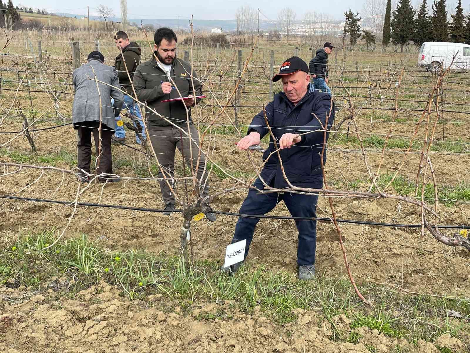 Tekirdağ Bağcılık Araştırma Enstitüsü Müdürlüğünde, “Tekirdağ 1. Altın Makas Bağ Budama Yarışması” gerçekleştirildi. Tekirdağ İl Tarım ve Orman ...