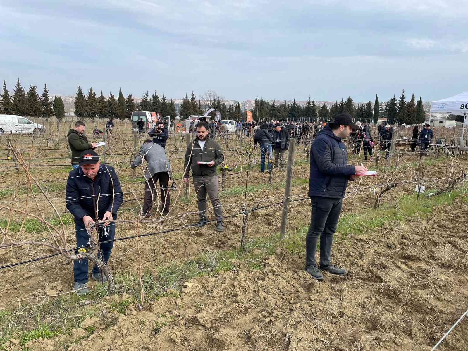 Tekirdağ Bağcılık Araştırma Enstitüsü Müdürlüğünde, “Tekirdağ 1. Altın Makas Bağ Budama Yarışması” gerçekleştirildi. Tekirdağ İl Tarım ve Orman ...