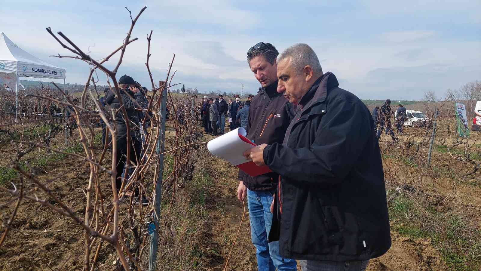 Tekirdağ Bağcılık Araştırma Enstitüsü Müdürlüğünde, “Tekirdağ 1. Altın Makas Bağ Budama Yarışması” gerçekleştirildi. Tekirdağ İl Tarım ve Orman ...