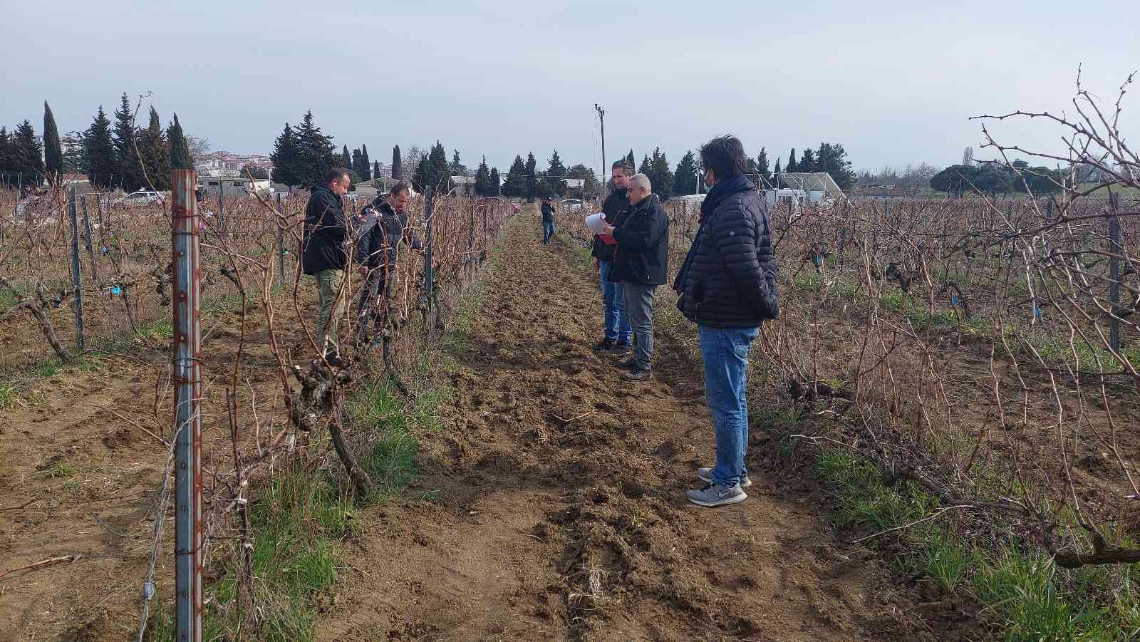 Tekirdağ Bağcılık Araştırma Enstitüsü Müdürlüğünde, “Tekirdağ 1. Altın Makas Bağ Budama Yarışması” gerçekleştirildi. Tekirdağ İl Tarım ve Orman ...