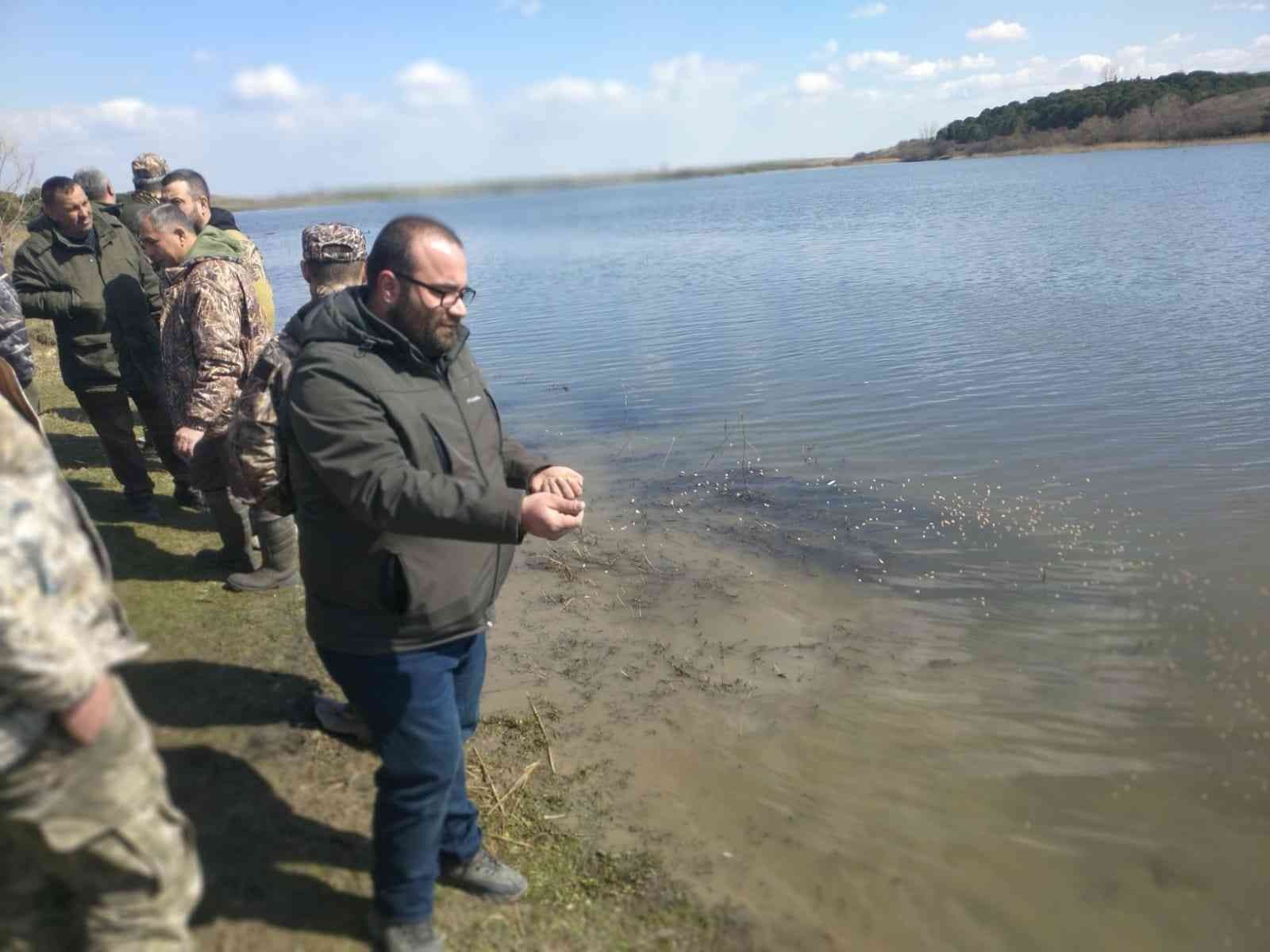 Tekirdağ’ın Hayraboolu ilçesinde bin adet yaban ördek gölete salındı. Tekirdağ’ın Hayrabolu ilçesinde doğanın korunması ve kollanması yaban ...