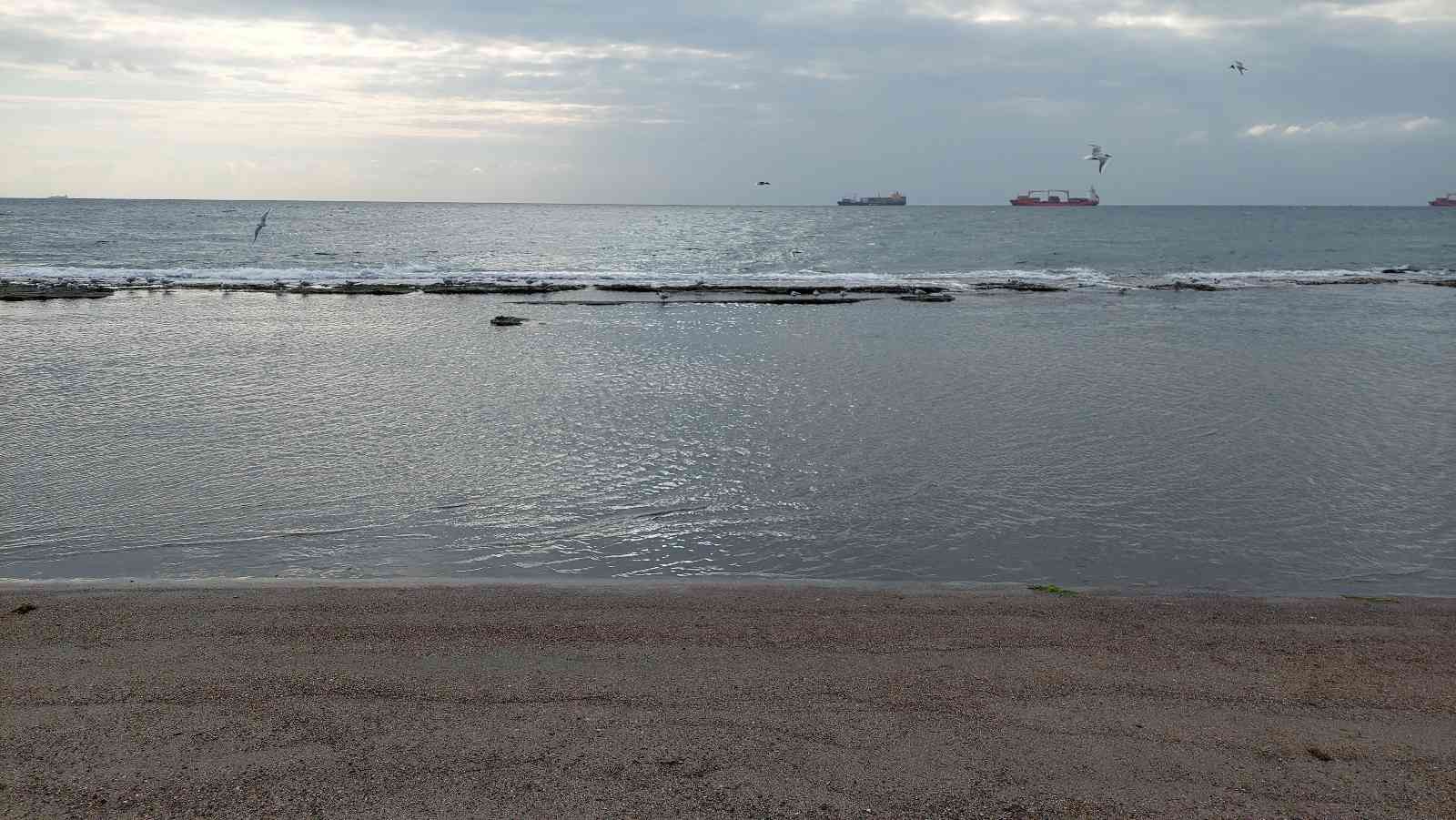 Marmara Denizi’nin Tekirdağ merkez Süleymanpaşa ilçesi kıyılarında sular 15 metre çekildi. Denizin çekilmesi ile halk arasında Kral yolu olarak ...