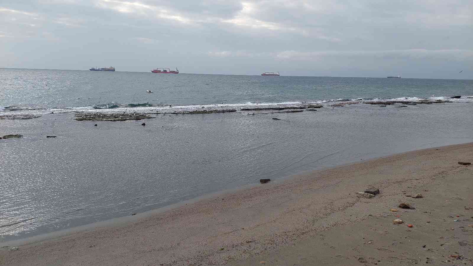 Marmara Denizi’nin Tekirdağ merkez Süleymanpaşa ilçesi kıyılarında sular 15 metre çekildi. Denizin çekilmesi ile halk arasında Kral yolu olarak ...