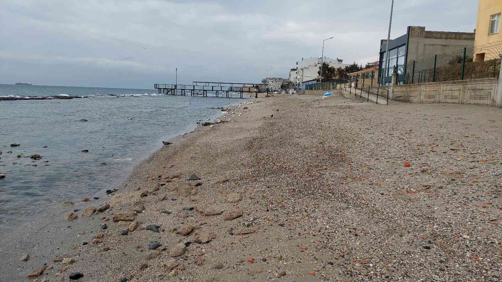 Marmara Denizi’nin Tekirdağ merkez Süleymanpaşa ilçesi kıyılarında sular 15 metre çekildi. Denizin çekilmesi ile halk arasında Kral yolu olarak ...